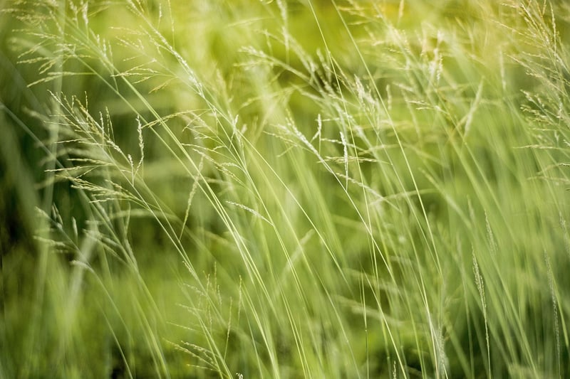 Eco-conscious living tips